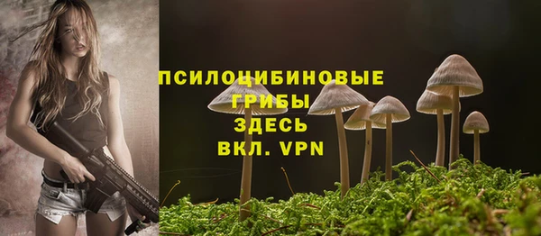 дмт Пестово